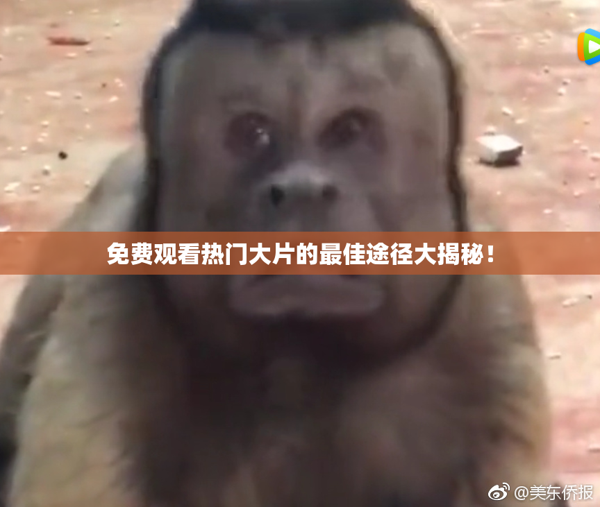 免费观看热门大片的最佳途径大揭秘！