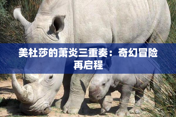 美杜莎的萧炎三重奏：奇幻冒险再启程
