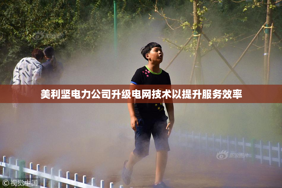 美利坚电力公司升级电网技术以提升服务效率