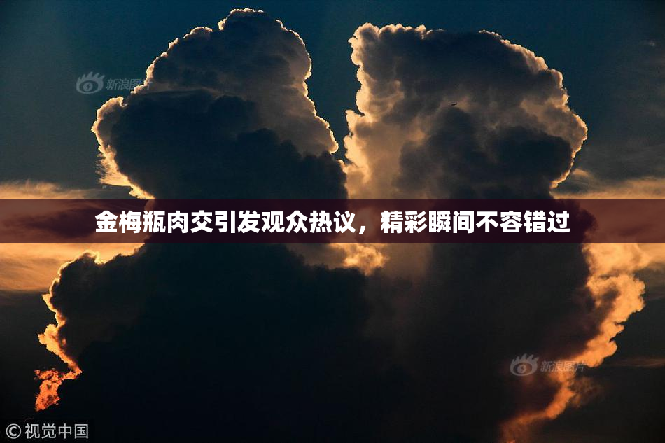 金梅瓶肉交引发观众热议，精彩瞬间不容错过