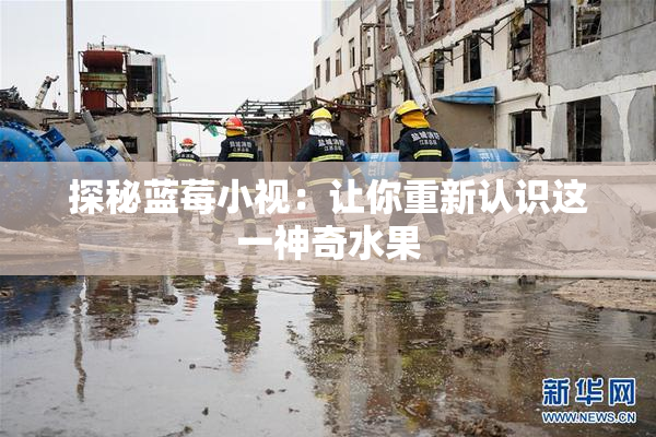 探秘蓝莓小视：让你重新认识这一神奇水果