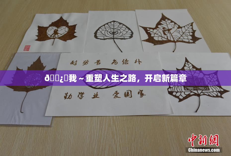🌿‌我～重塑人生之路，开启新篇章