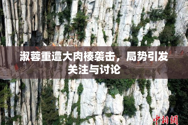 淑蓉重遭大肉楱袭击，局势引发关注与讨论