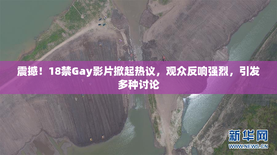 震撼！18禁Gay影片掀起热议，观众反响强烈，引发多种讨论