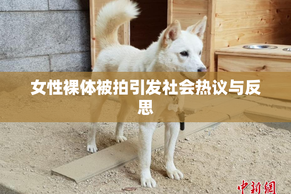 女性裸体被拍引发社会热议与反思