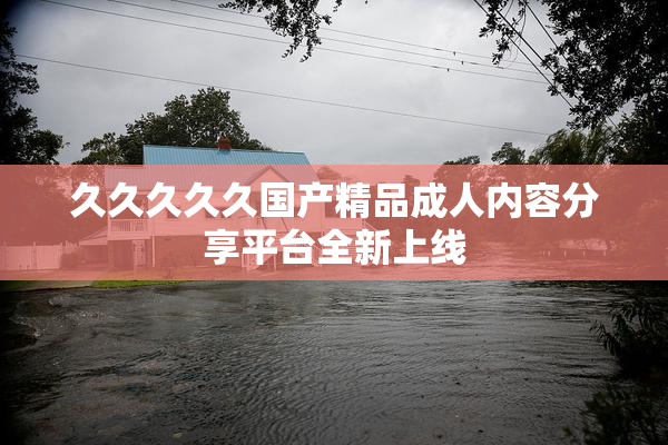 久久久久久国产精品成人内容分享平台全新上线