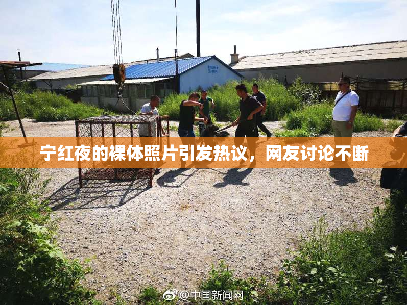 宁红夜的裸体照片引发热议，网友讨论不断