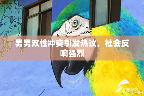 男男双性冲突引发热议，社会反响强烈