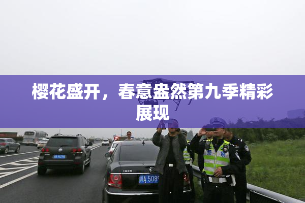 樱花盛开，春意盎然第九季精彩展现