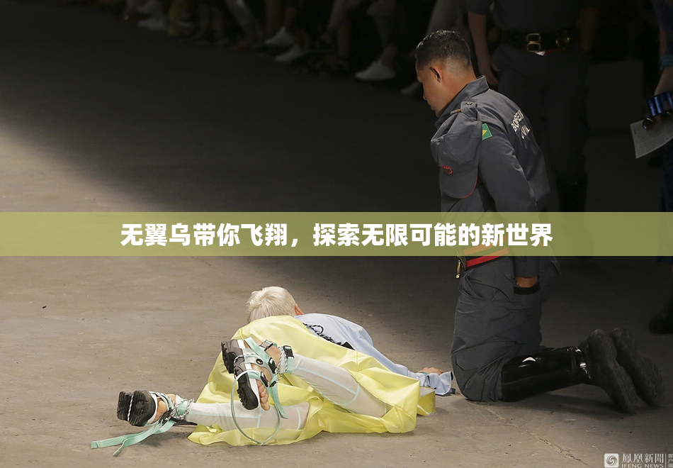 无翼乌带你飞翔，探索无限可能的新世界