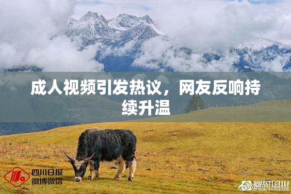 成人视频引发热议，网友反响持续升温