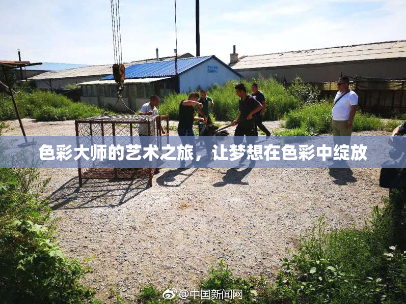 色彩大师的艺术之旅，让梦想在色彩中绽放