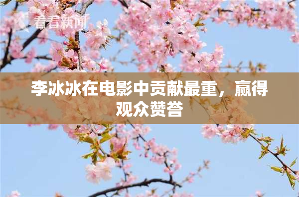 李冰冰在电影中贡献最重，赢得观众赞誉