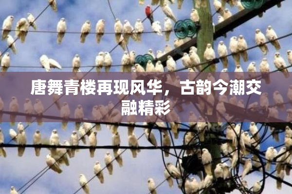 唐舞青楼再现风华，古韵今潮交融精彩