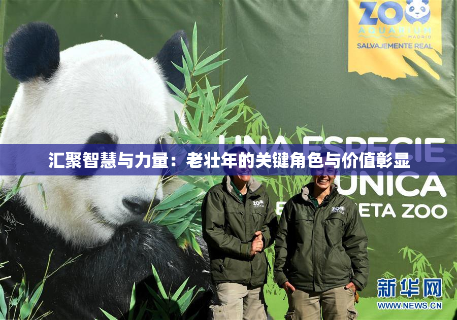 汇聚智慧与力量：老壮年的关键角色与价值彰显
