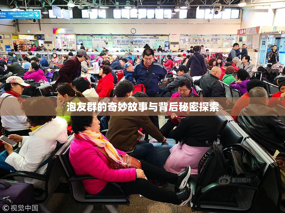 泡友群的奇妙故事与背后秘密探索