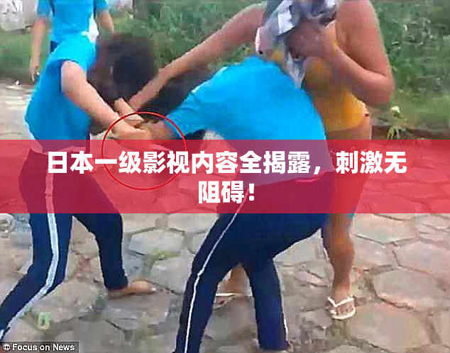 日本一级影视内容全揭露，刺激无阻碍！