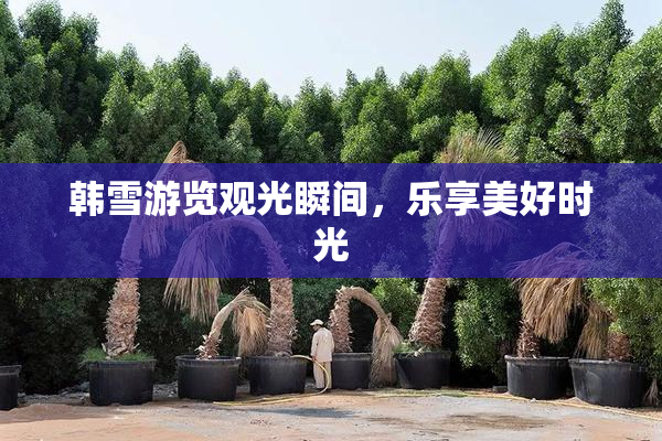 韩雪游览观光瞬间，乐享美好时光