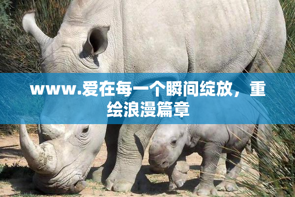 www.爱在每一个瞬间绽放，重绘浪漫篇章