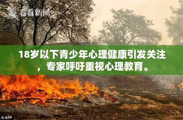 18岁以下青少年心理健康引发关注，专家呼吁重视心理教育。
