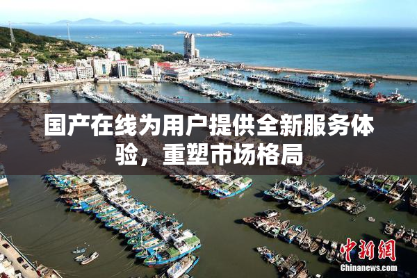 国产在线为用户提供全新服务体验，重塑市场格局