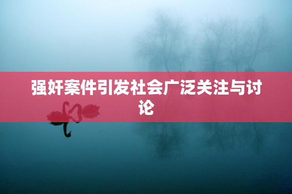 强奸案件引发社会广泛关注与讨论