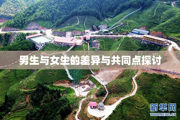 男生与女生的差异与共同点探讨