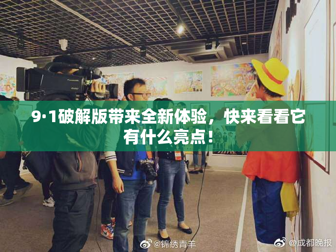 9·1破解版带来全新体验，快来看看它有什么亮点！
