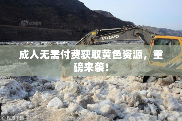 成人无需付费获取黄色资源，重磅来袭！