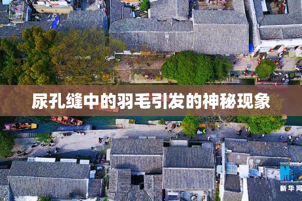 尿孔缝中的羽毛引发的神秘现象