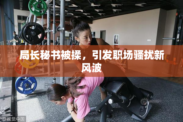 局长秘书被揉，引发职场骚扰新风波