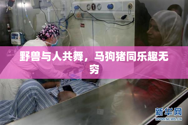 野兽与人共舞，马狗猪同乐趣无穷