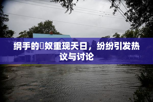 纲手的婬奴重现天日，纷纷引发热议与讨论