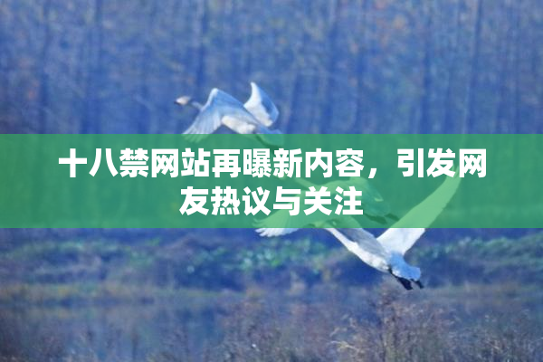 十八禁网站再曝新内容，引发网友热议与关注
