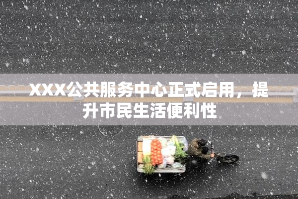 XXX公共服务中心正式启用，提升市民生活便利性