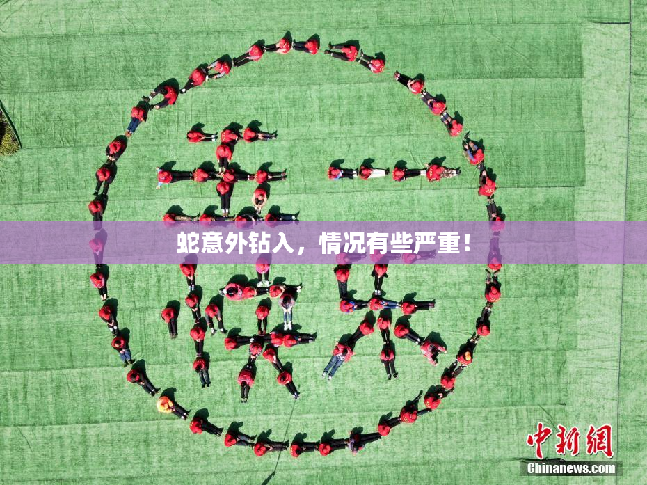 蛇意外钻入，情况有些严重！