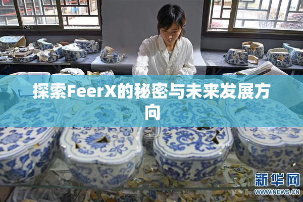 探索FeerX的秘密与未来发展方向