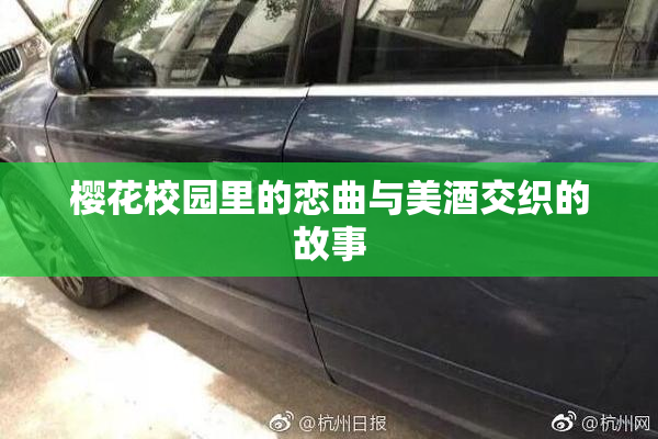 樱花校园里的恋曲与美酒交织的故事