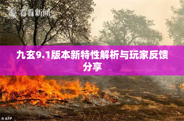 九玄9.1版本新特性解析与玩家反馈分享