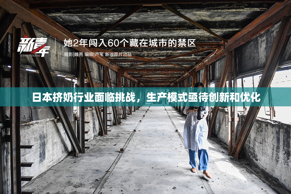 日本挤奶行业面临挑战，生产模式亟待创新和优化