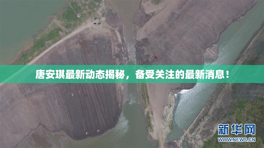 唐安琪最新动态揭秘，备受关注的最新消息！