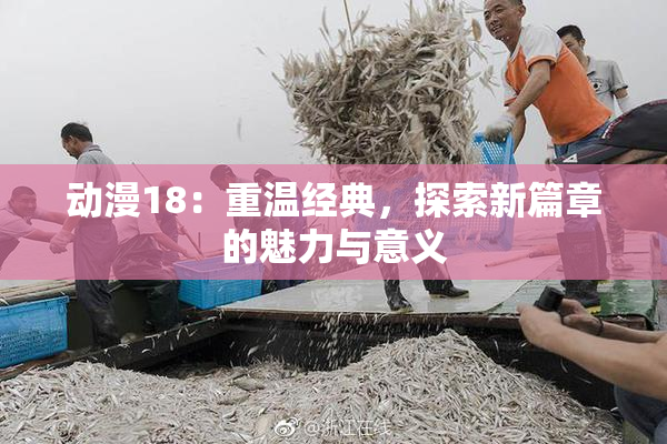 动漫18：重温经典，探索新篇章的魅力与意义
