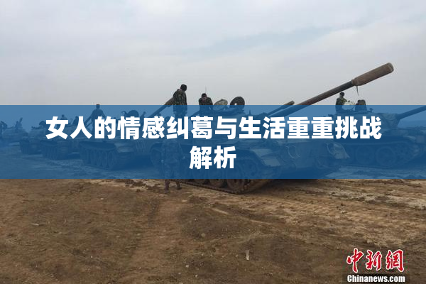 女人的情感纠葛与生活重重挑战解析