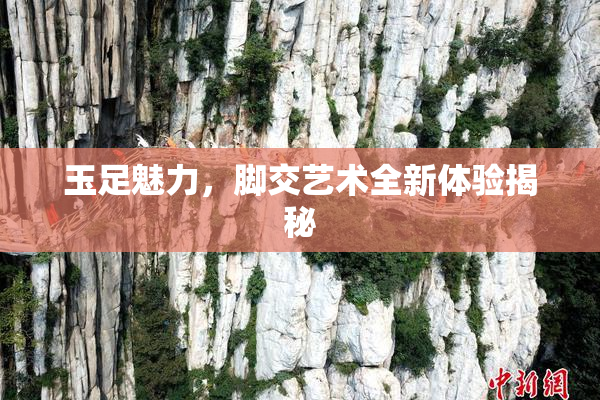 玉足魅力，脚交艺术全新体验揭秘