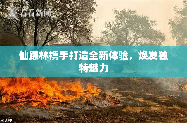 仙踪林携手打造全新体验，焕发独特魅力