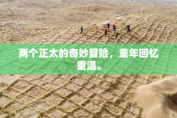 两个正太的奇妙冒险，童年回忆重温。