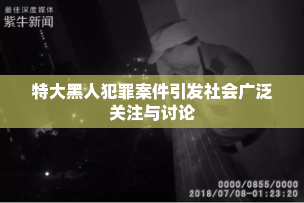 特大黑人犯罪案件引发社会广泛关注与讨论