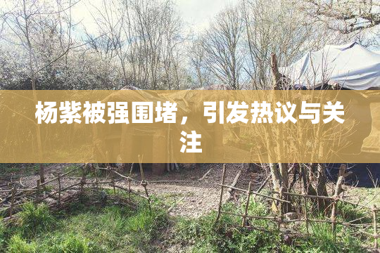 杨紫被强围堵，引发热议与关注