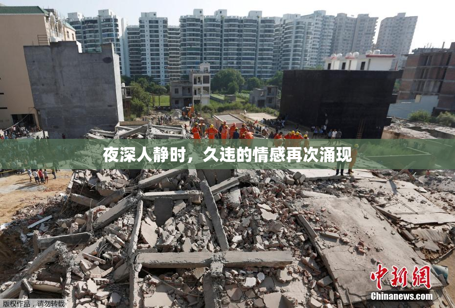 夜深人静时，久违的情感再次涌现