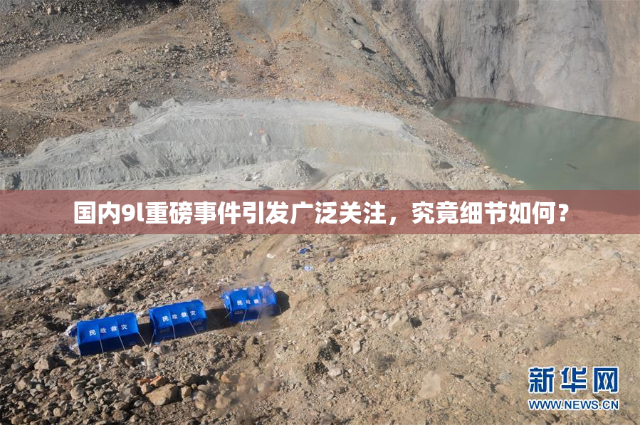 国内9l重磅事件引发广泛关注，究竟细节如何？